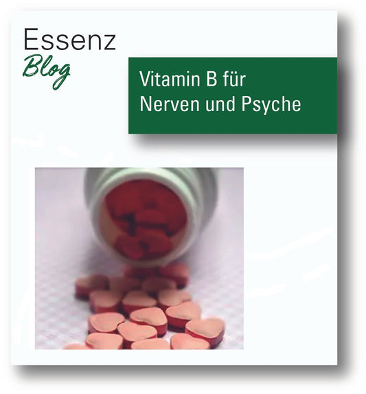 Vitamin B - Essenzshop